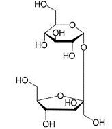 Sucrose_ausschnitt.jpg
