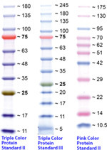 Proteinmarker-150.jpg