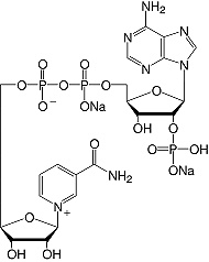 Structure &beta;-Nicotinamidadenindinukleotidphosphat&#183;Na<sub>2</sub>-Salz_reinst