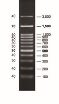 39806-s_1.jpg