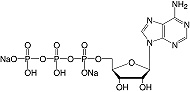 Structure Adenosine-5'-triphosphate&#183;Na<sub>2</sub>-salt_cryst. research grade