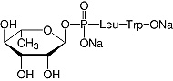 Structure Phosphoramidon_research grade