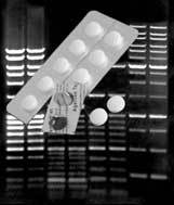 Agarose-Tabletten_11407.jpg
