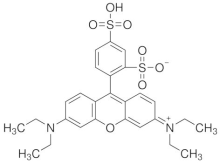 Sulforhodamin-s.png
